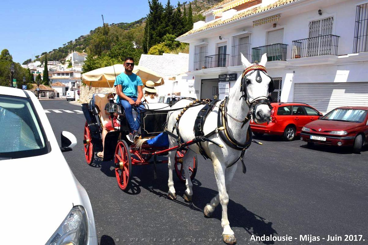 378- Mijas.JPG